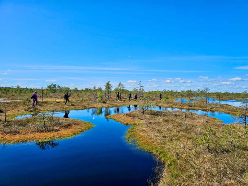 emeri Bogs Adventure: Explore Wetlands In Bog Shoes - The Guided Tour in Kemeri National Park