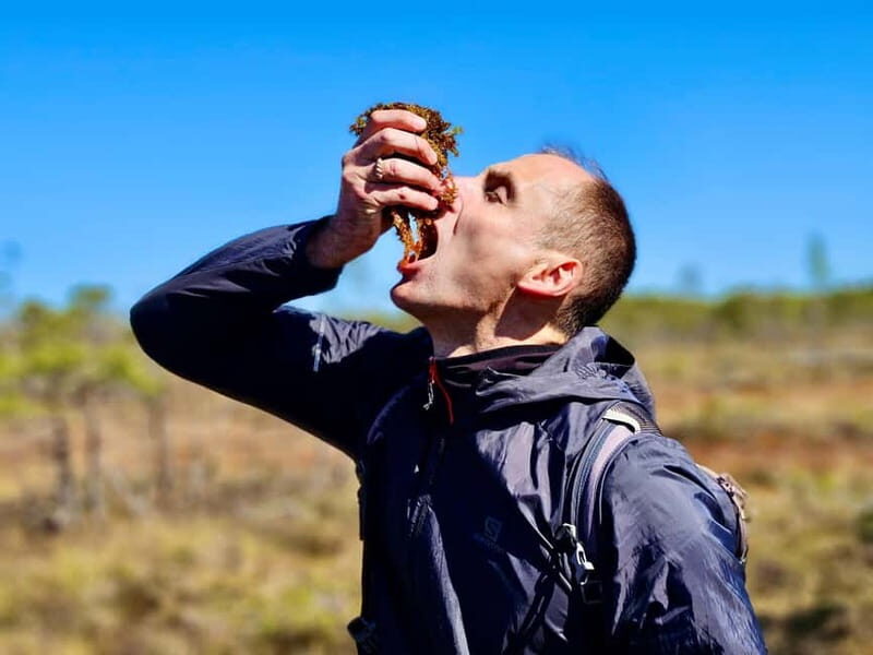 emeri Bogs Adventure: Explore Wetlands In Bog Shoes - The Itinerary in Detail
