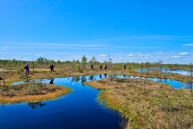 emeri Bogs Adventure: Explore Wetlands In Bog Shoes - An In-Depth Look at the Kemeri Bog Adventure