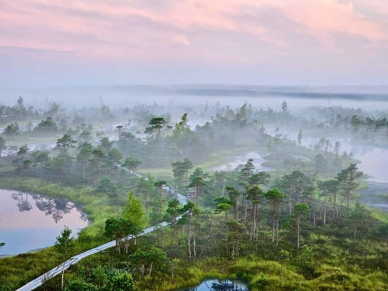 emeri Great Bog With Optional Sunrise & Jrmala Visit - Key Points