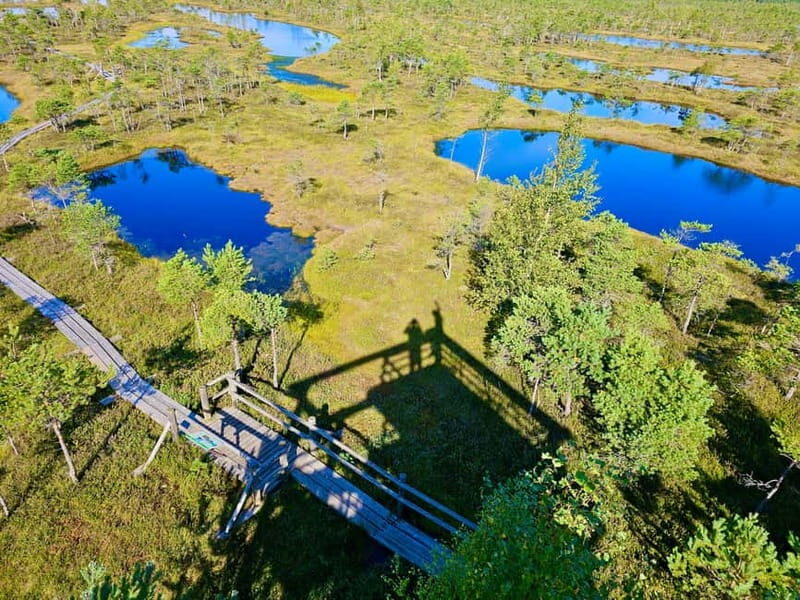 emeri Great Bog With Optional Sunrise & Jrmala Visit - Final Thoughts: Why Choose the Kemeri Bog Tour?