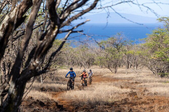 Emountain Bike Tour Maui | Experience Tour  Private Ranch - The Practical Details