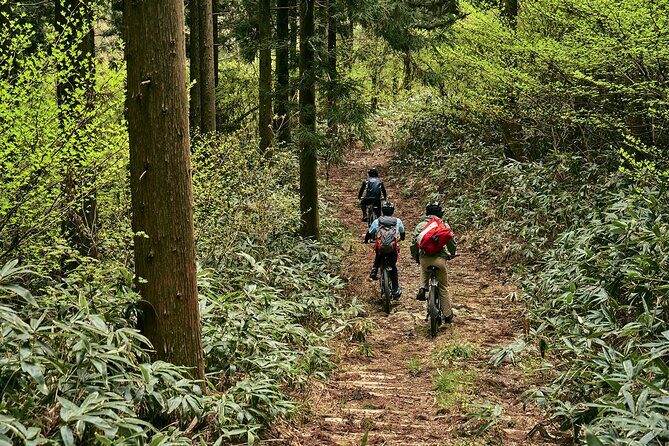 eMTB tour to see the beautiful islands from the summit - FAQ