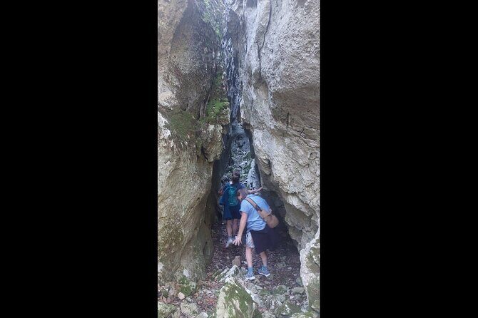 Enchanted Forest Hike and Wine Tasting Private Tour - The Authenticity and Value of the Tour