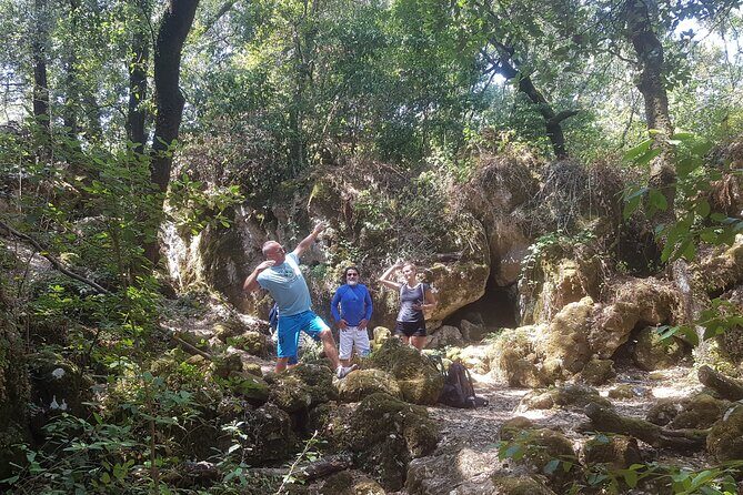 Enchanted Forest Hike and Wine Tasting Private Tour - The Sum Up