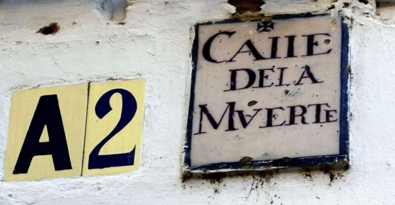 Enchanted Seville: Private Walking Tour - The Experience Provider and Booking Details