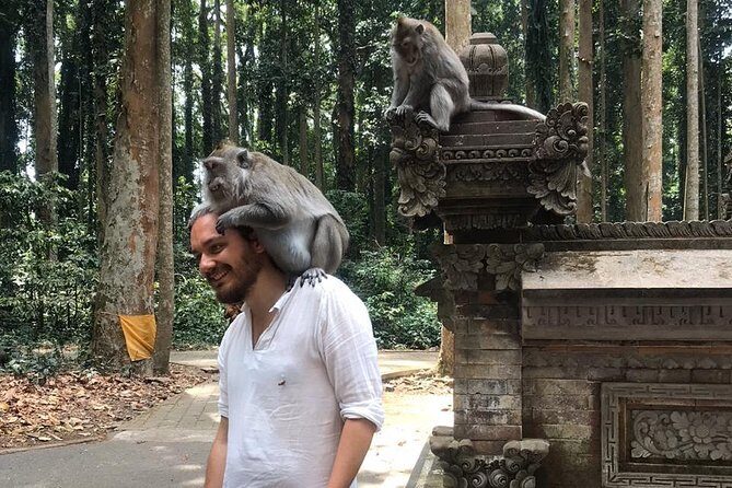 Enchanting Bali Tour with the Best Driver | All Included - Key Points