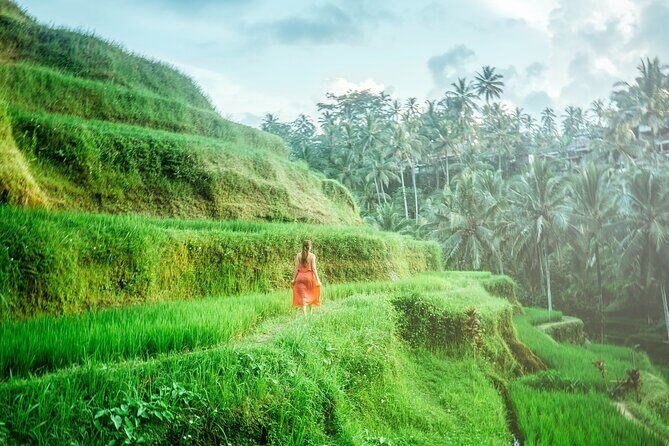 Enchanting Bali Tour with the Best Driver | All Included - FAQ