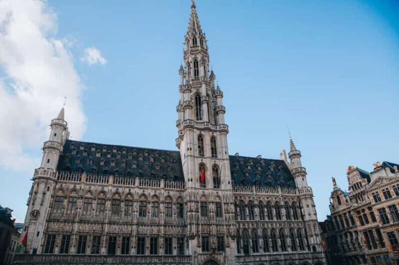 Enchanting Brussels Private Tour: History & Culture Unveiled - Deep Dive into the Tour Experience
