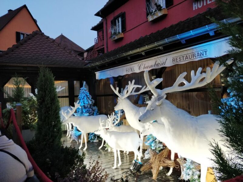 Enchanting Christmas Experience From Colmar - Exploring the Magic of Alsace’s Christmas Villages