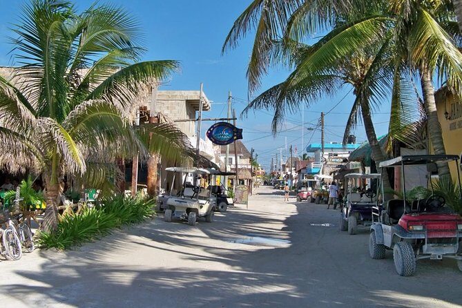 Enchanting Holbox Tour. Experience the paradisiacal beaches of the island. - Wildlife and Nature at Punta Mosquito