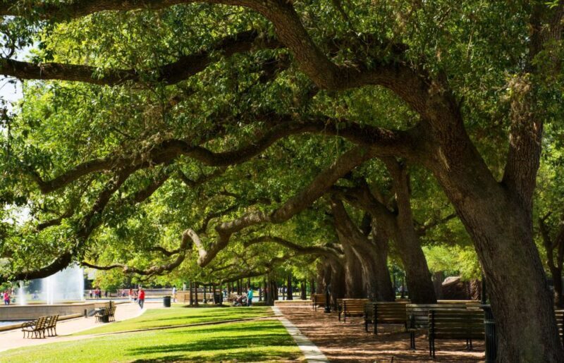 Enchanting Houston: A Romantic Urban Adventure - Key Points