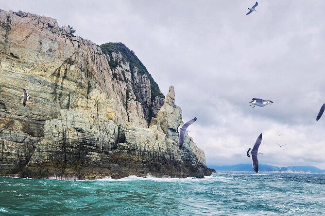 Enchanting Oedo Island Day Tour from Busan with Windy Hill - Who Should Consider This Tour?