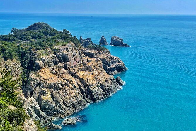 Enchanting Oedo Island Day Tour from Busan with Windy Hill - The Sum Up