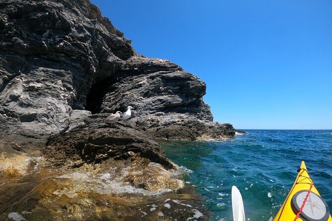 Enchanting Semi Private Kayaking Tours in Milos - Authentic Experiences & Real Reviews