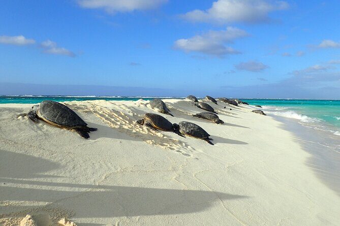Enchanting Small Group Circle Island Tour Across Oahu Paradise - Key Points