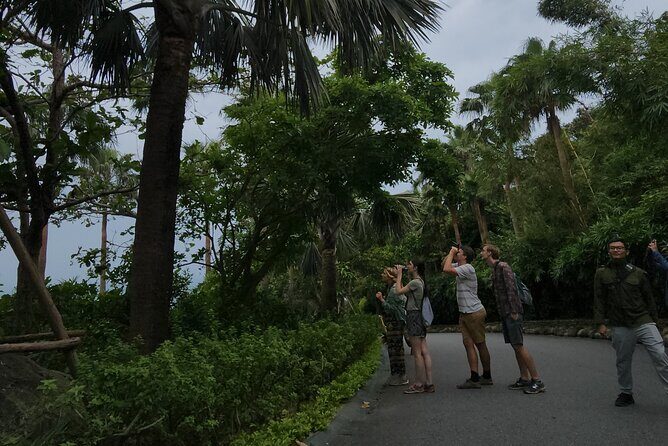 Endangered Monkeys Watching - Red Shanked Douc Langurs - The Scenic Journey