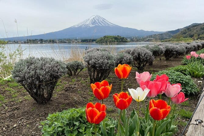 English Guided Mt. Fuji and Lake Kawaguchi Group Tour - Final Stop and Return to Tokyo