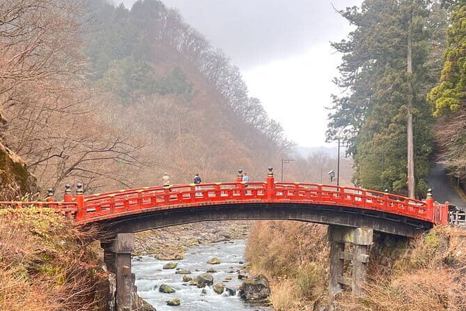English-speaking guided day tour of Nikko with a private vehicle - A Detailed Look at the Nikko Tour Experience
