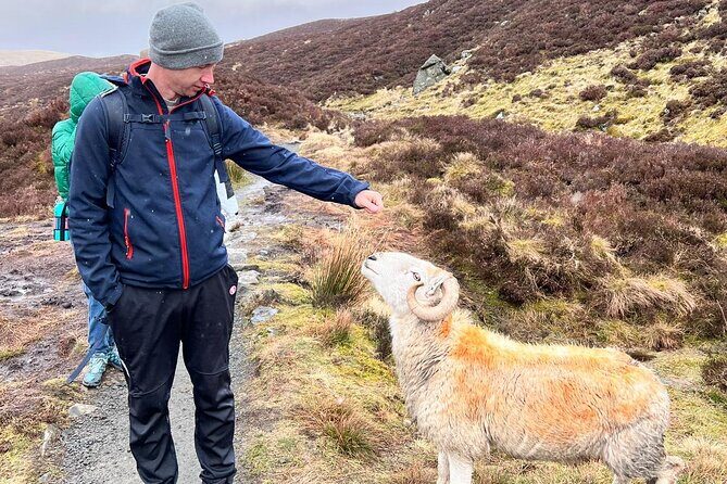 English Speaking Homestay Exploring Edinburgh and National Parks - A Deep Dive into the Experience