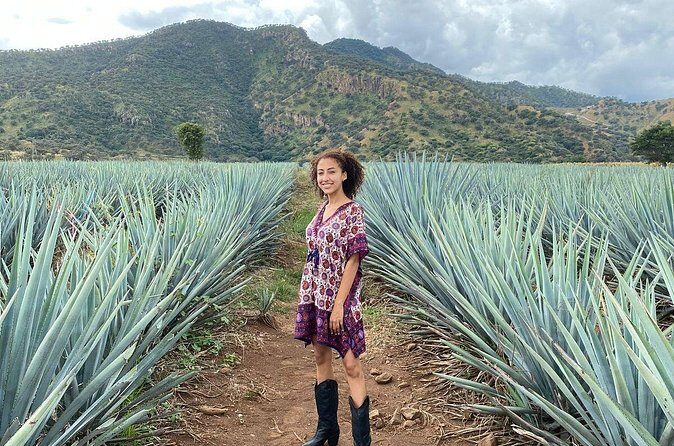 Enjoy a full day on the Tequila and Amatitan route - The Sum Up