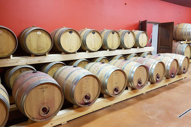 Enjoy a meal with wine tasting in the vineyard of Podere Casanova - Who Will Love This Tour?