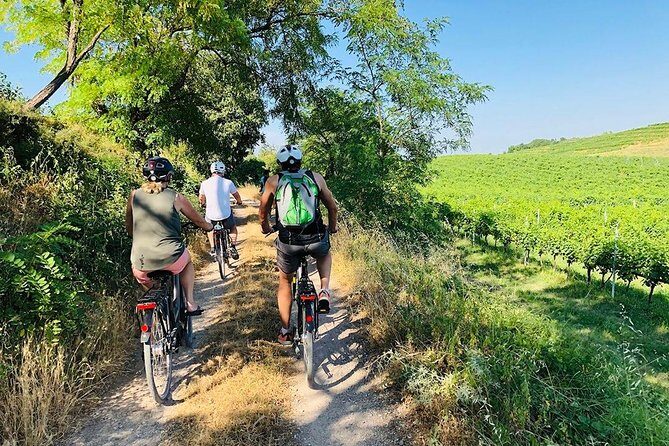 Enjoy a Wine Tasting after a cycling excursion in the magic of Tuscany - Discover the Charm of Tuscany on Two Wheels