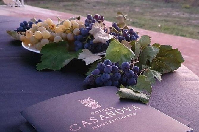 Enjoy a Wine Tasting after a cycling excursion in the magic of Tuscany - Practical Details and What to Expect