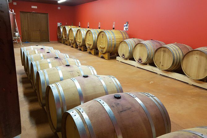 Enjoy a Wine Tasting after a cycling excursion in the magic of Tuscany - FAQ