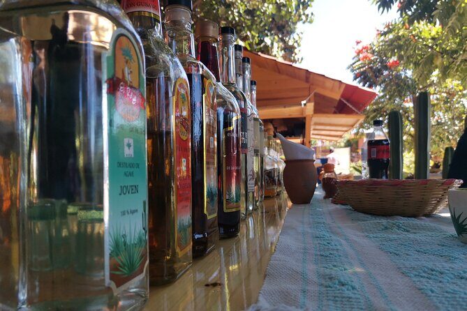 Enjoy Boil the Water and manufacture mezcal from Oaxaca - Who Will Enjoy This Tour?