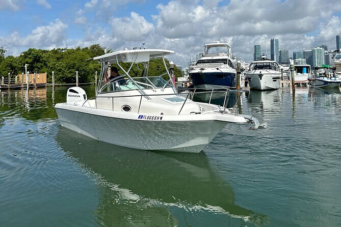 Enjoy Miami aboard our Proline 24ft - Key Points
