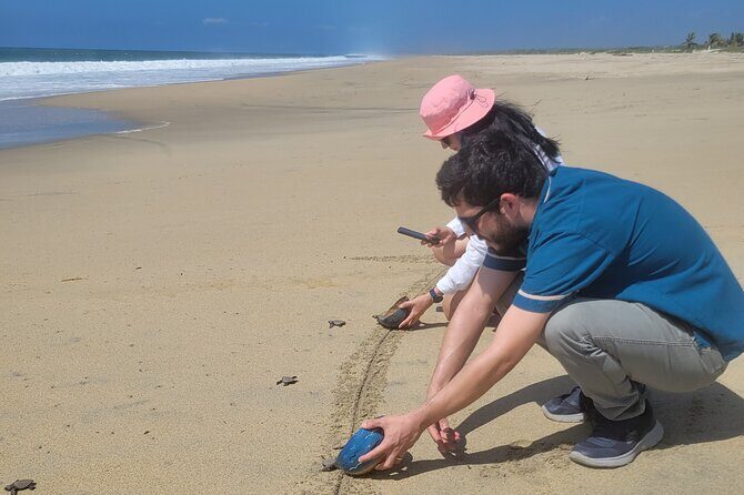 Enjoy Puerto Escondido with Beach and Nature from Oaxaca - Who Should Book This Tour?