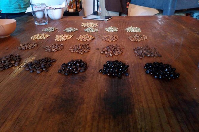 Enjoy the coffee route in Coatepec Magical Town - Final Thoughts