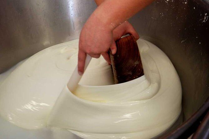 Enogastronomic Day in a Farm - Tasting of local products - Cheese-Making Demonstration