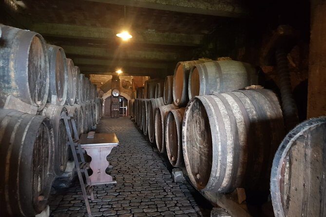 Enogastronomic Tour- 4 hours in Tenerife - Who Will Love This Tour?