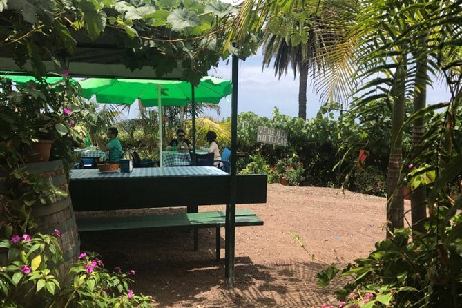 Enogastronomic Tour- 4 hours in Tenerife - Final Thoughts