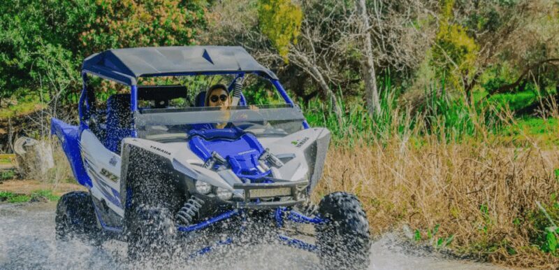 Ensenada: ATV/Golf car Mountain Drive Tour - Authenticity and Practicality