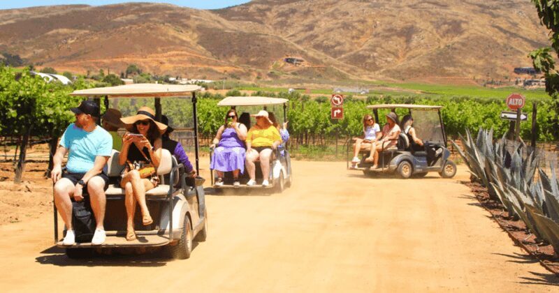 Ensenada: ATV/Golf car Mountain Drive Tour - Experience Quality and Value