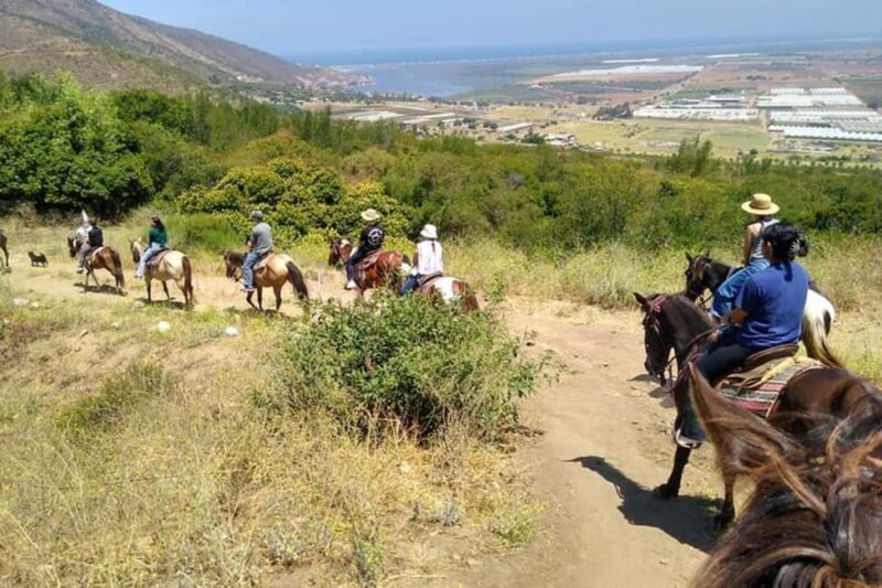 Ensenada: Bajas Hidden Trails: Horseback Ride w/ Ocean View - Key Points