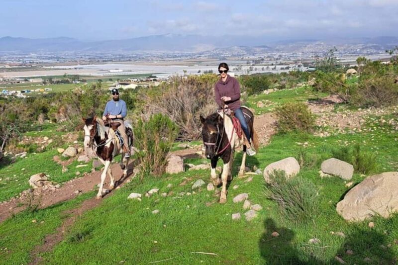 Ensenada: Bajas Hidden Trails: Horseback Ride w/ Ocean View - An In-Depth Look at Ensenada’s Bajas Hidden Trails Horseback Ride