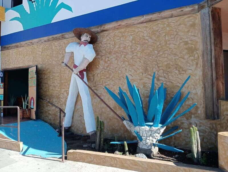 Ensenada: City Tour & Beach Horseback Ride - The Sum Up