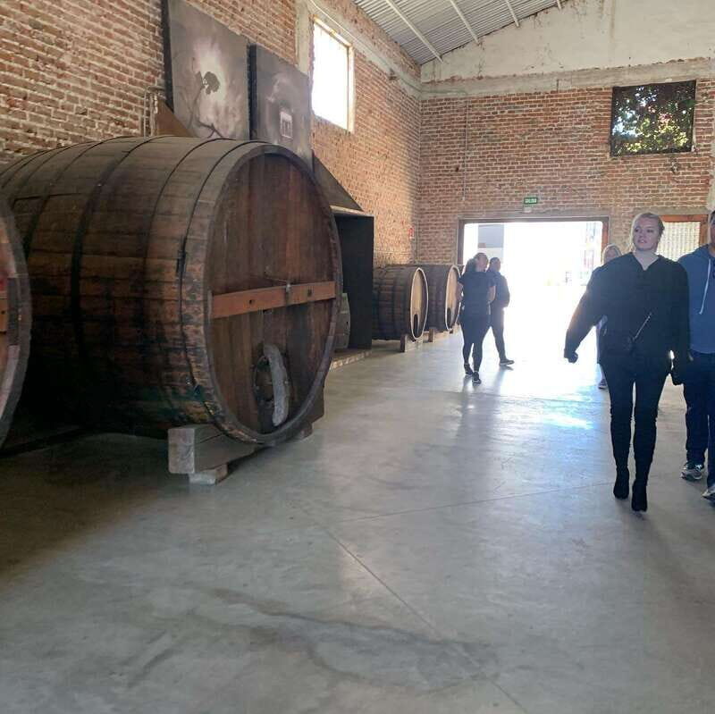 Ensenada: Guided City Highlights Tour with Margarita Tasting - Exploring the Highlights of Ensenada