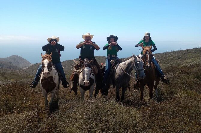 Ensenada Horseback Riding Adventure with Local Guide - The Sum Up