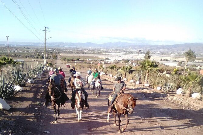 Ensenada Horseback Riding Adventure with Local Guide - FAQ
