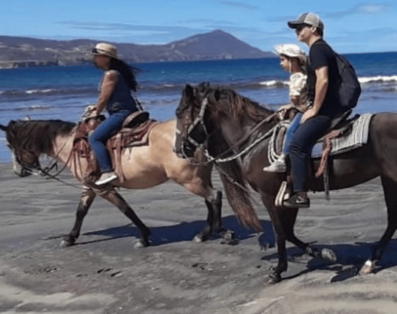 Ensenada: Horseback Riding at Playa Hermosa Beach - What’s Included and What’s Not
