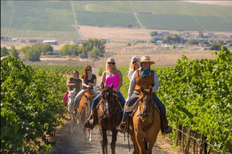 Ensenada: Horseback Riding at the Vineyards - Who Is This Tour Best For?