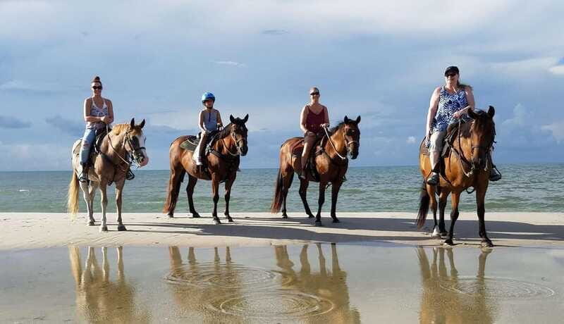 Ensenada: Horseback riding in the beach - Authentic Input from Travelers