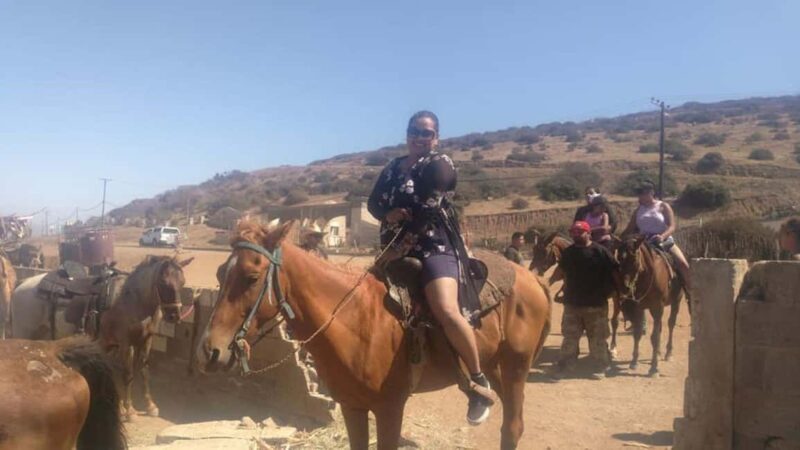 Ensenada: La Bufadora and Horseback Riding at Punta Banda - Authentic Reviews: What Travelers Say