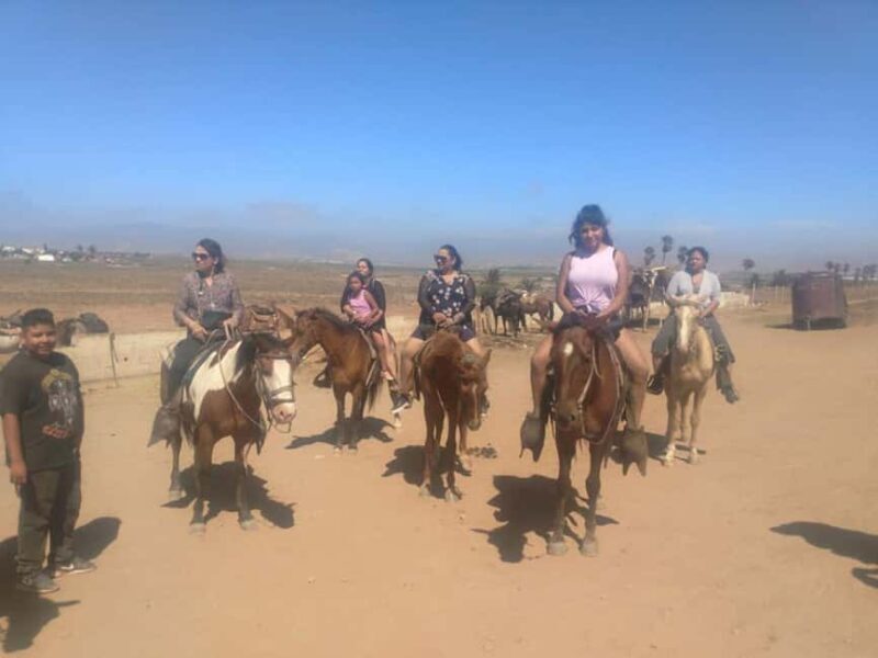 Ensenada: La Bufadora and Playa Hermosa Horseback Riding - Taking a Closer Look at the Experience