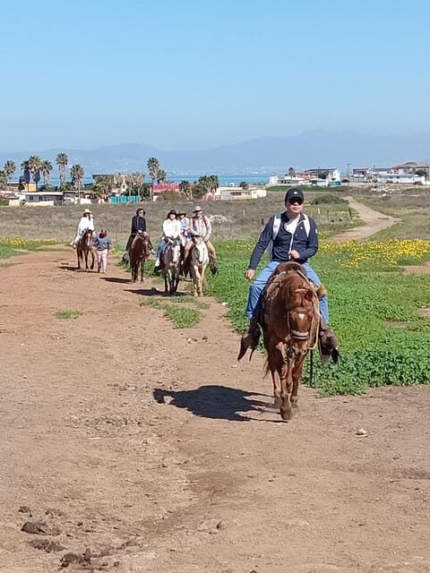 Ensenada: La Bufadora and Playa Hermosa Horseback Riding - Authenticity and Reliability